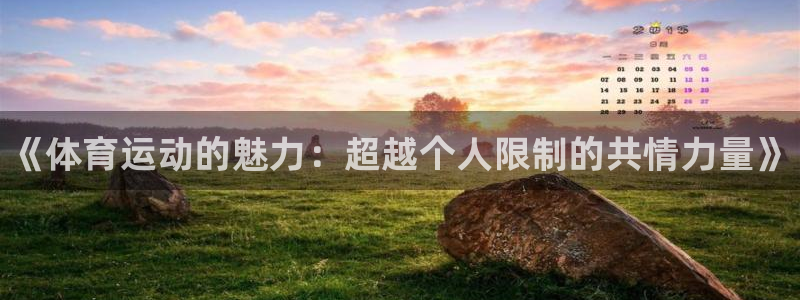 米兰体育官方正版app娱乐首页网站大全：《体育运动的魅力：超