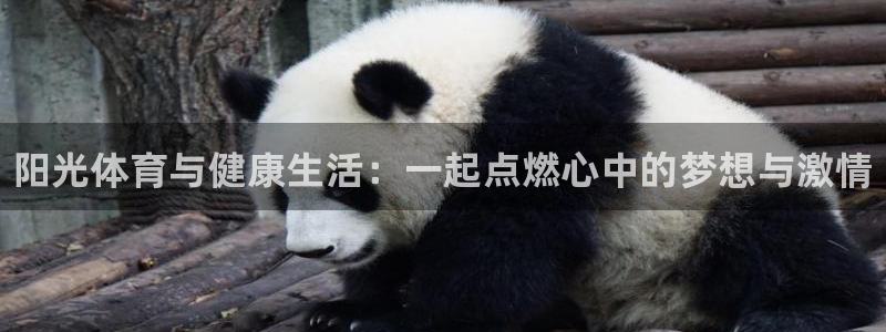 米兰体育官网下载是干嘛的公司：阳光体育与健康生活：一