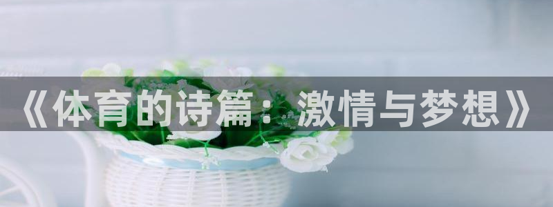米兰体育官方正版app娱乐代理怎么样：《体育的诗篇：