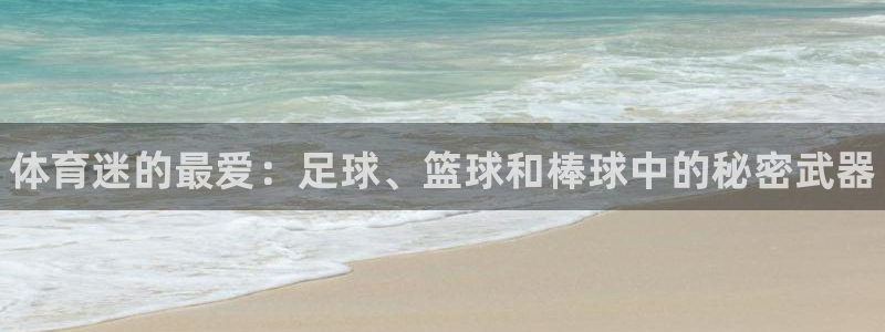 米兰体育官方正版app开户：体育迷的最爱：足球、篮球