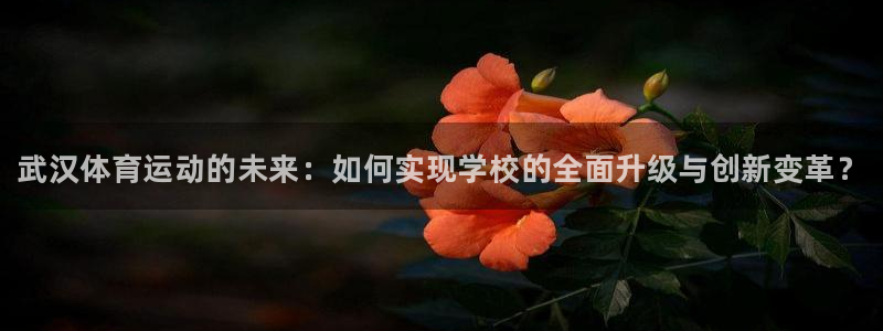 米兰体育官网下载娱乐：武汉体育运动的未来：如何实现学