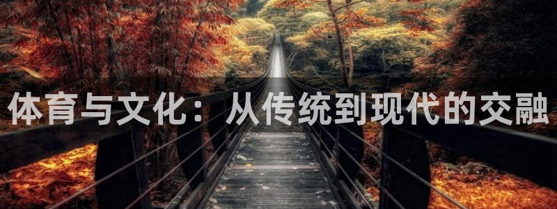 米兰体育官方正版app五金厂：体育与文化：从传统到现