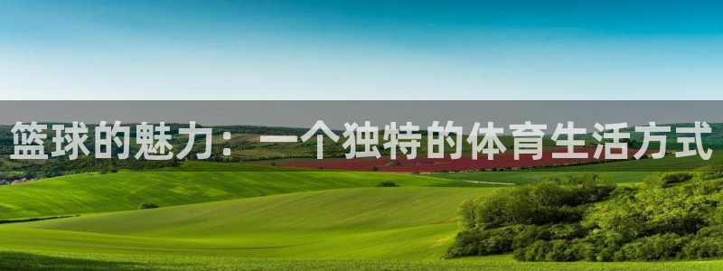 米兰体育官网下载平台：篮球的魅力：一个独特的体育生活方式