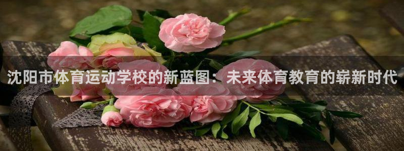 米兰体育官方平台体育：沈阳市体育运动学校的新蓝图：未