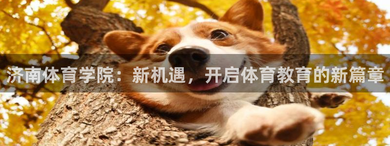米兰体育官方正版app开户：济南体育学院：新机遇，开