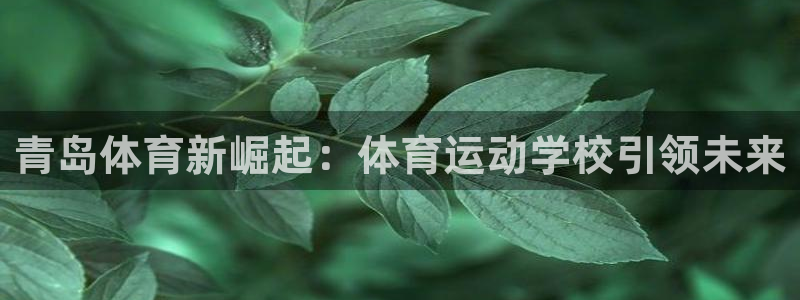 米兰体育官网下载平台假的吗是真的吗吗：青岛体育新崛起：体育运