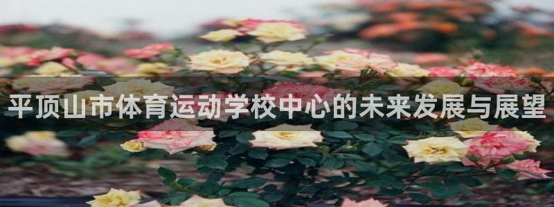 米兰体育官网下载招商电话号码查询：平顶山市体育运动学校中心的