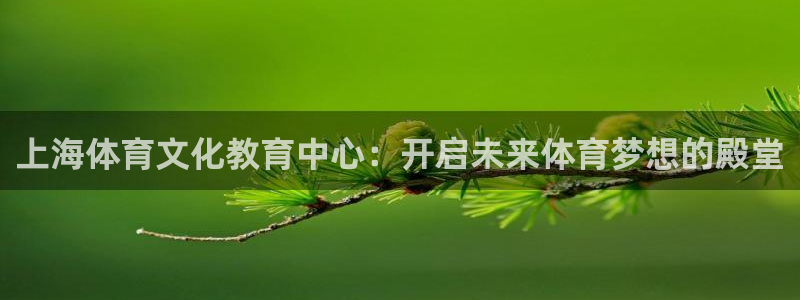 米兰体育官网下载平台注册流程图：上海体育文化教育中心：开启未