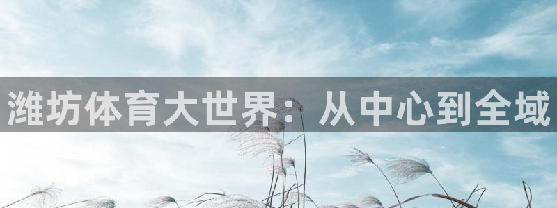 米兰体育官方平台体育：潍坊体育大世界：从中心到全域
