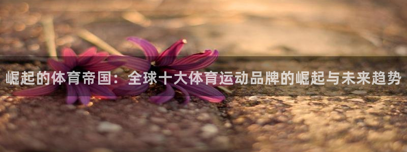 海南米兰体育官网下载发展怎么样：崛起的体育帝国：全球十大体育