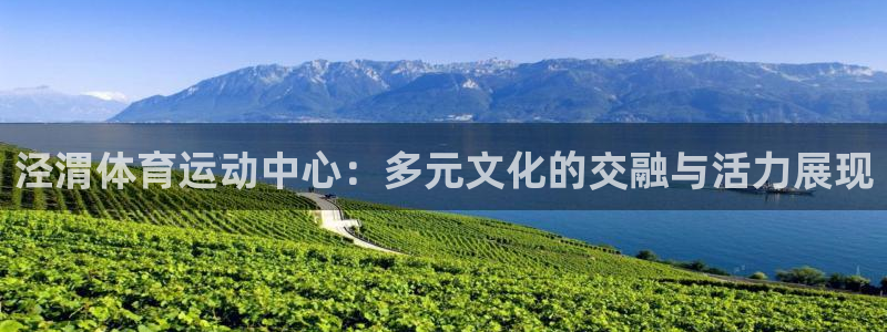 米兰体育官方正版app集团E.ON：泾渭体育运动中心：多元文