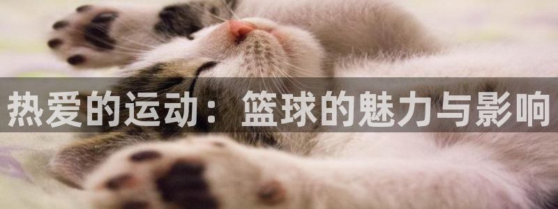 米兰体育官方正版app娱乐是那个系列的台子：热爱的运动：篮球