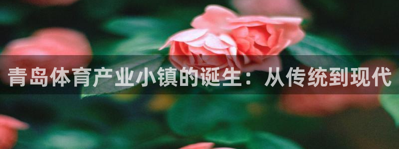 德国米兰体育官方正版app集团：青岛体育产业小镇的诞