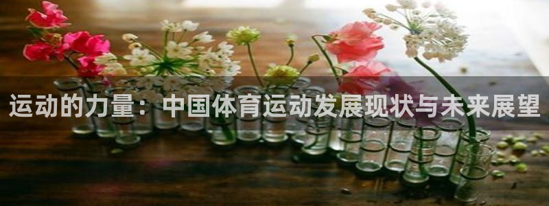米兰体育官网下载平台假的吗是真的吗吗：运动的力量：中国体育运